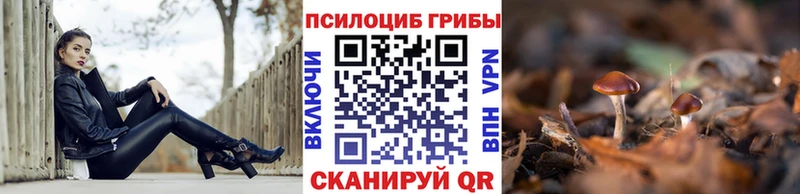 Псилоцибиновые грибы Psilocybe  Сасово 