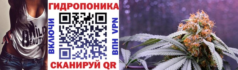 Шишки марихуана VHQ  купить наркоту  Сасово 